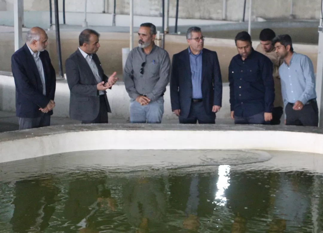۳ طرح تولیدی در رودان افتتاح شد