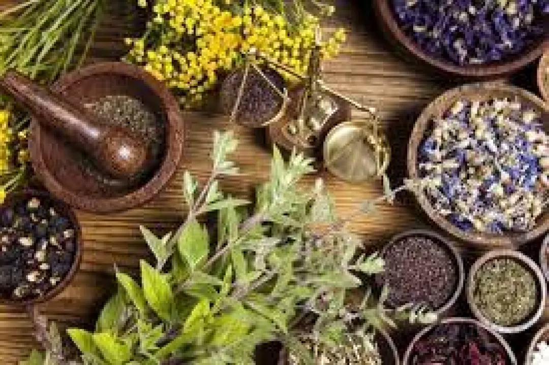 گیاهان دارویی شاهکلید رونق اقتصادی روستاییان