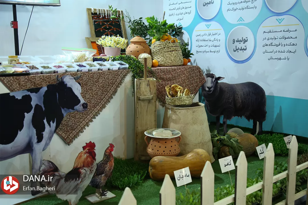 دهکدههای اقتصاد مقاومتی راهکاری برای افزایش بهرهوری تولید
