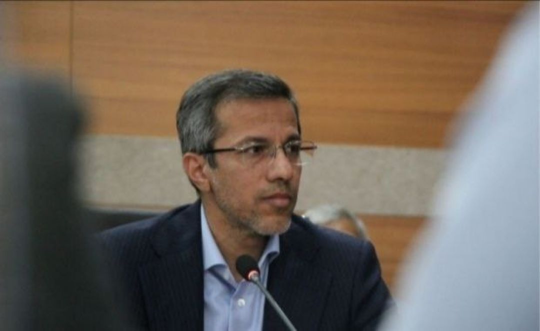 همکاری دولت و بخش خصوصی راهحل مشکلات میگو