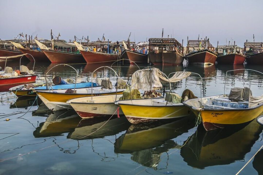 سکوت ۱۰ روزه دریا برای نجات آبزیان
