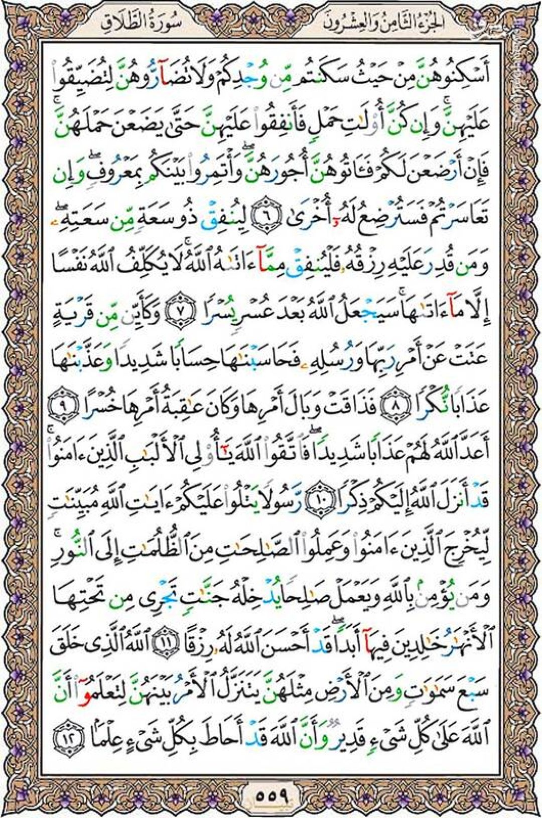 شنبه را با صفحه ۵۵۶ قرآن آغاز میکنیم