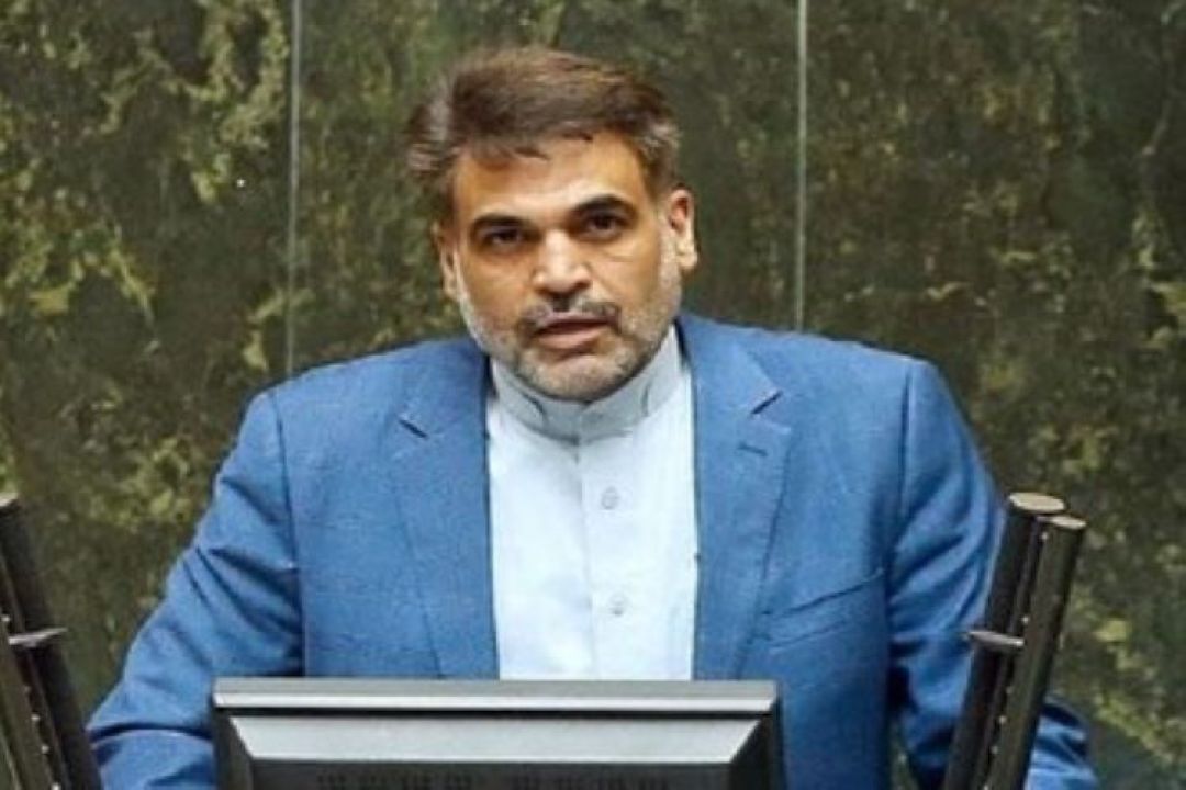 دولت برنامهای برای مهار گرانی ارائه نکرده است