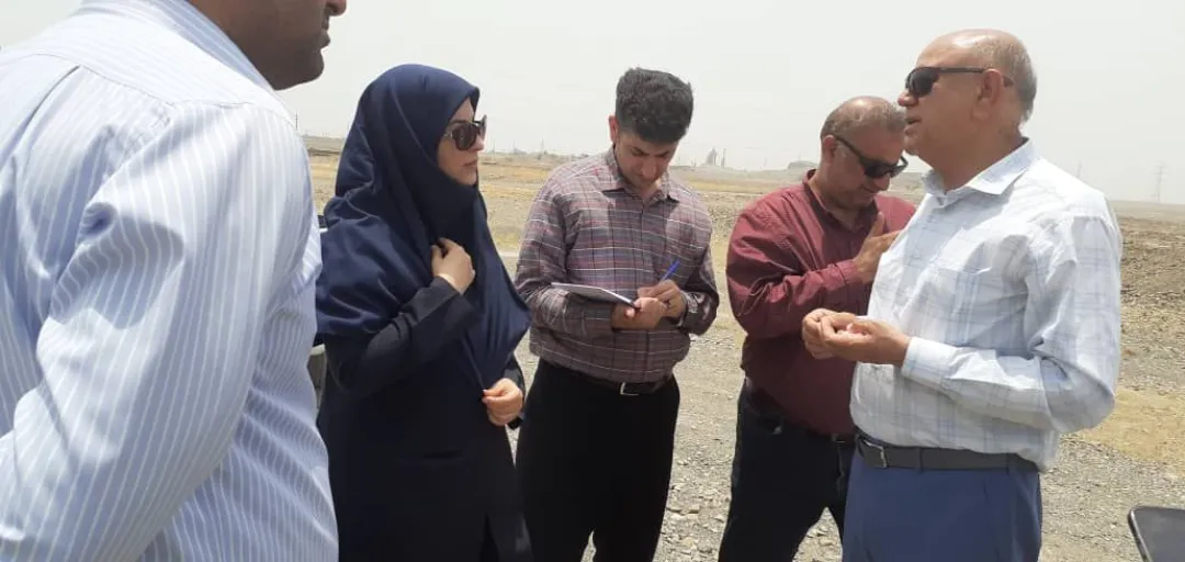 باغداران نگران گرمازدگی و آفتابسوختگی درختان مرکبات نباشند