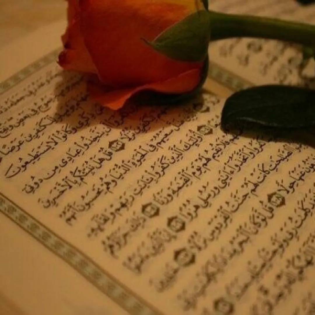 جمعه را با قرائت صفحه ۳۱۰ آغاز میکنیم