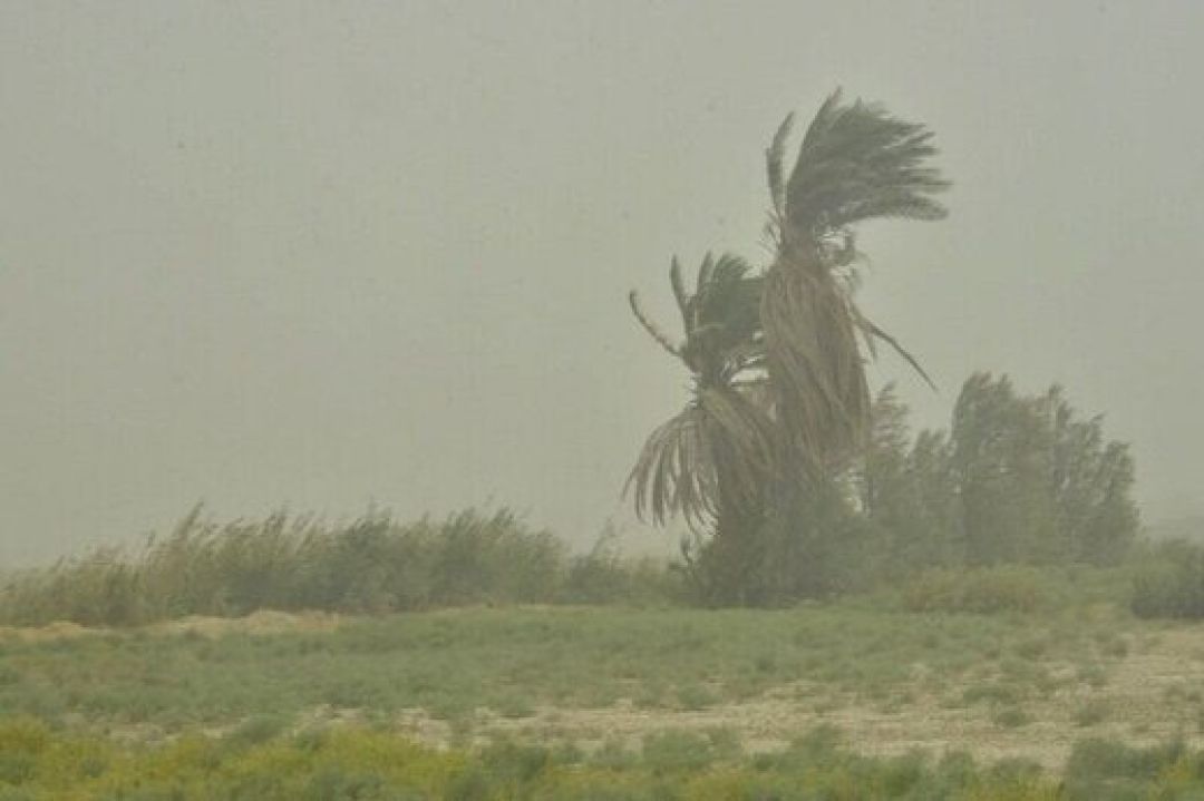 تداوم گرما و وزش باد در شرق هرمزگان