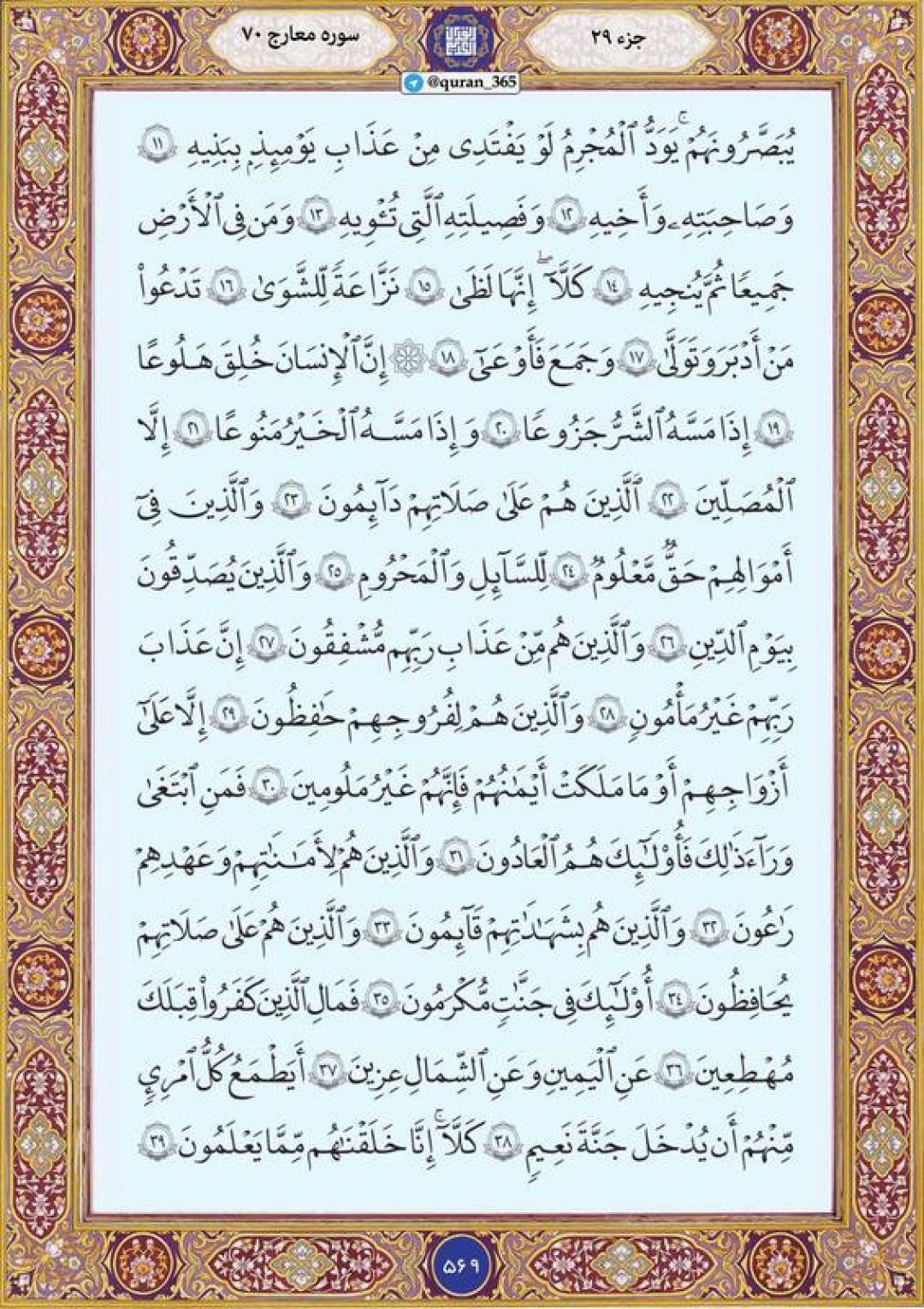 چهارشنبه را با صفحه ۵۶۹ قرآن آغاز میکنیم