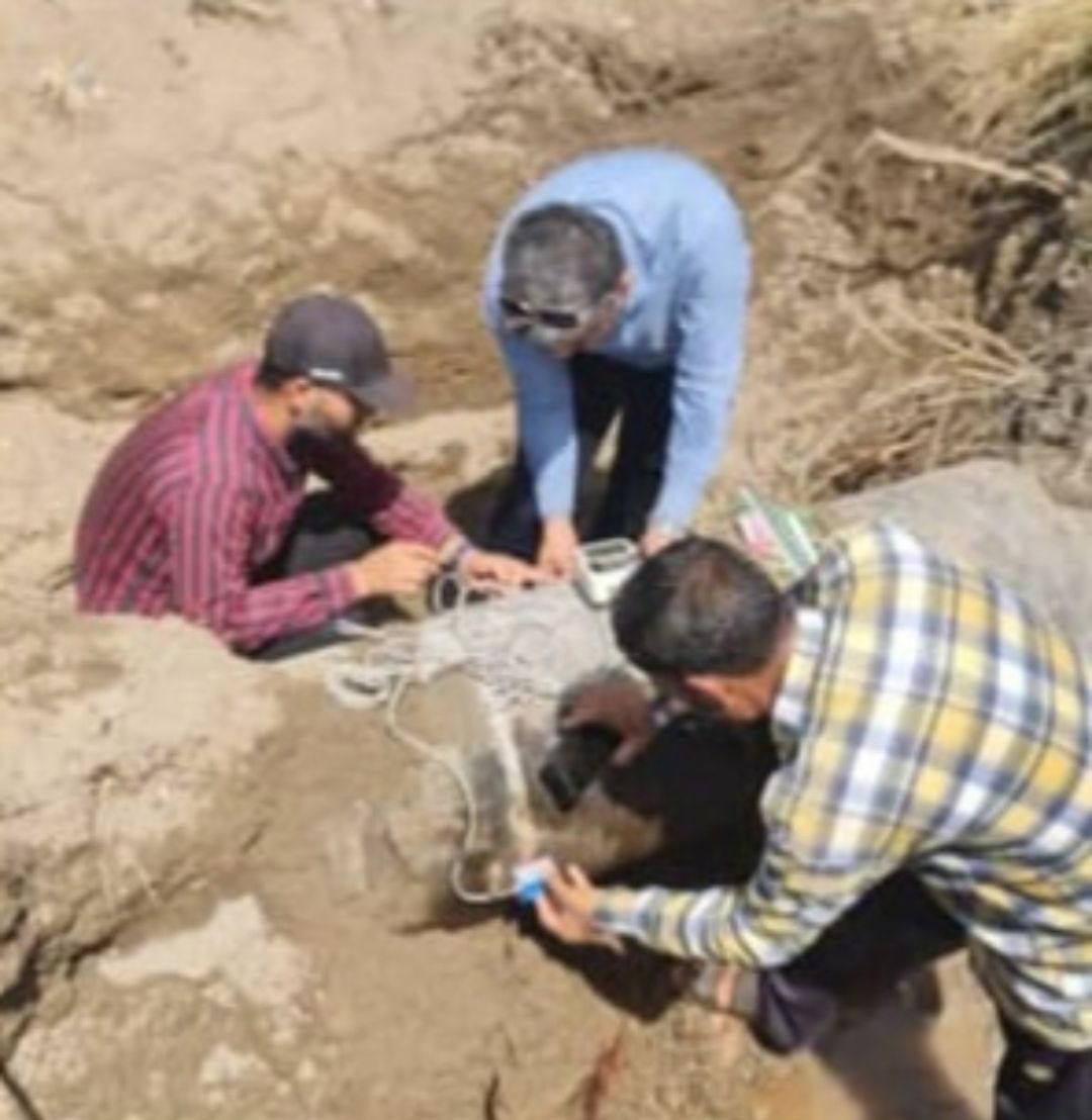 تلاش شبانه‌روزی آبفا برای پایداری آبرسانی تابستانه